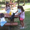 img_0430